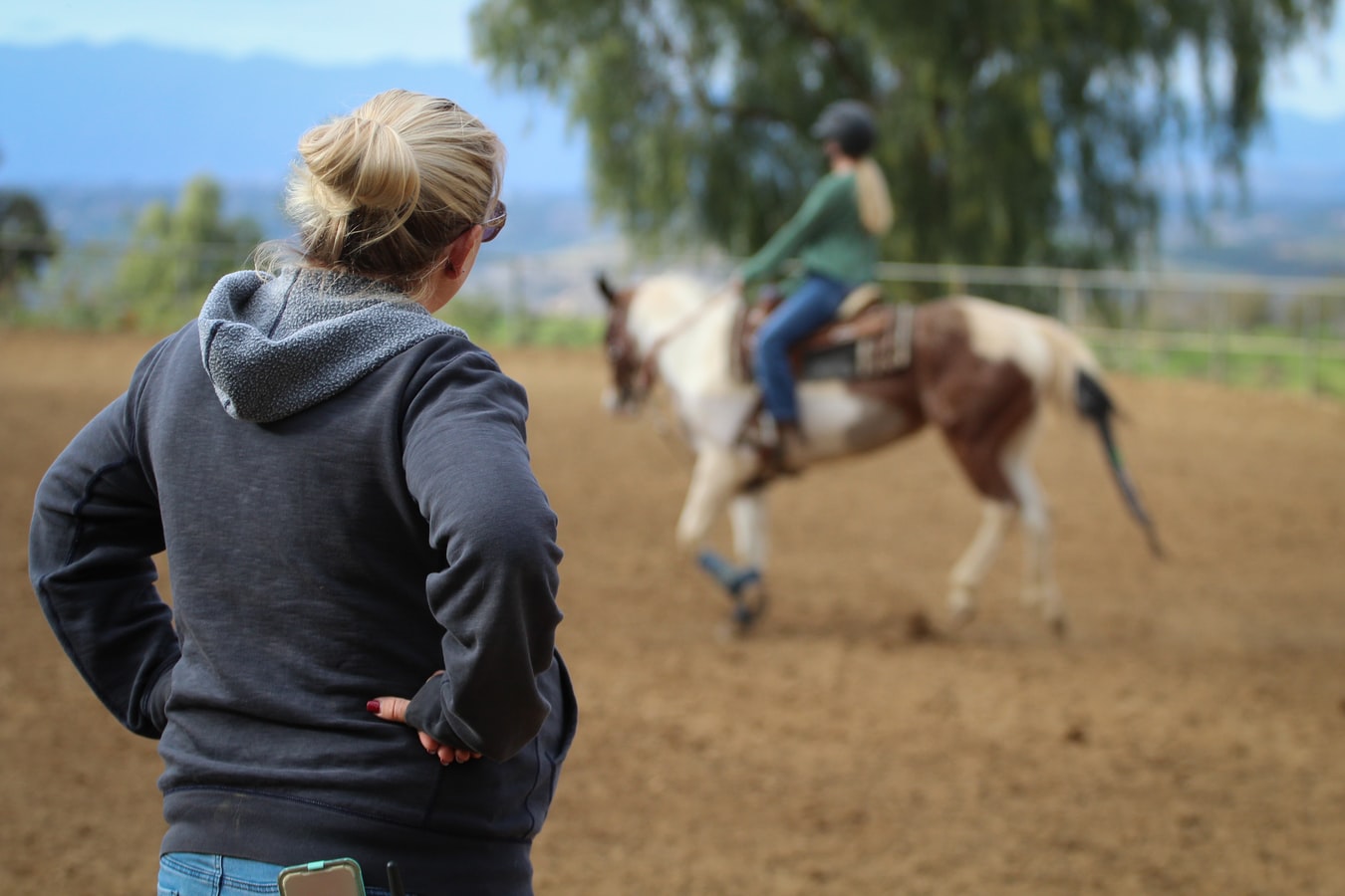 three horses with wild hair